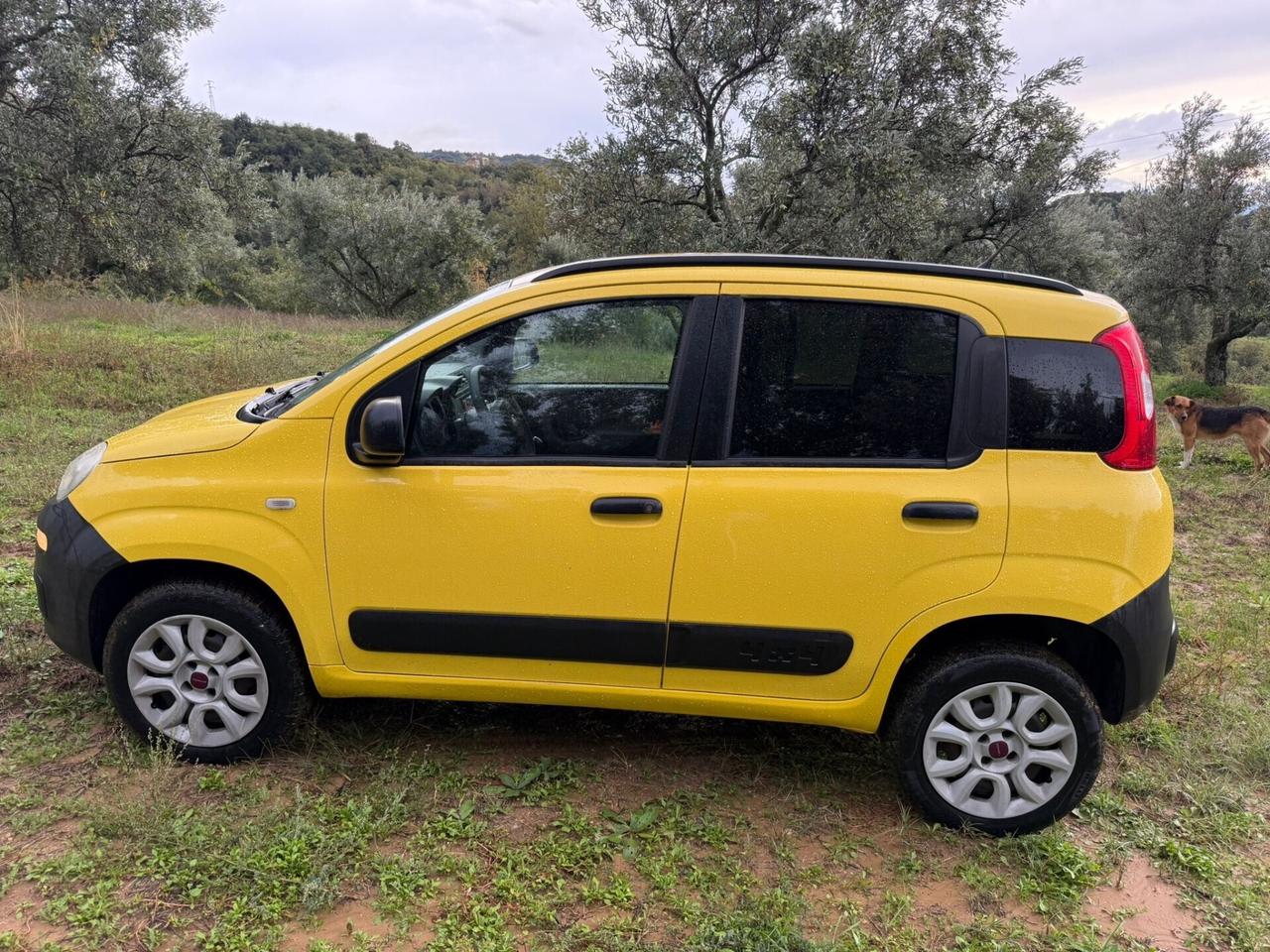 Fiat Panda 1.3 MJT S&S 4x4