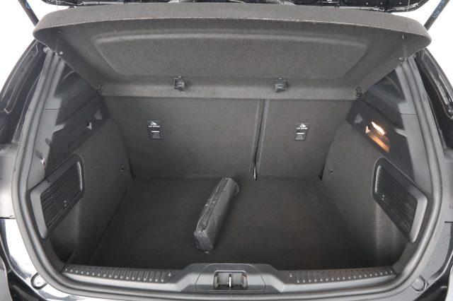 FORD Focus Focus 1.5 EcoBlue 120 CV automatico 5p. ST-Line