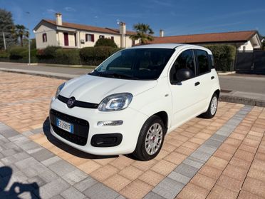 Fiat Panda 1.2 benzina Lounge