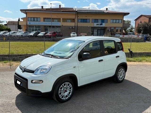 Fiat Panda 1.0 Hybrid neopatentati