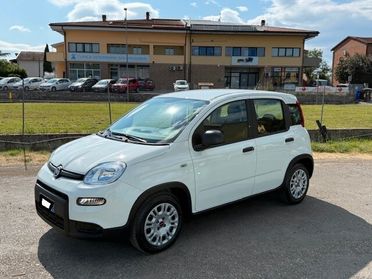 Fiat Panda 1.0 Hybrid neopatentati