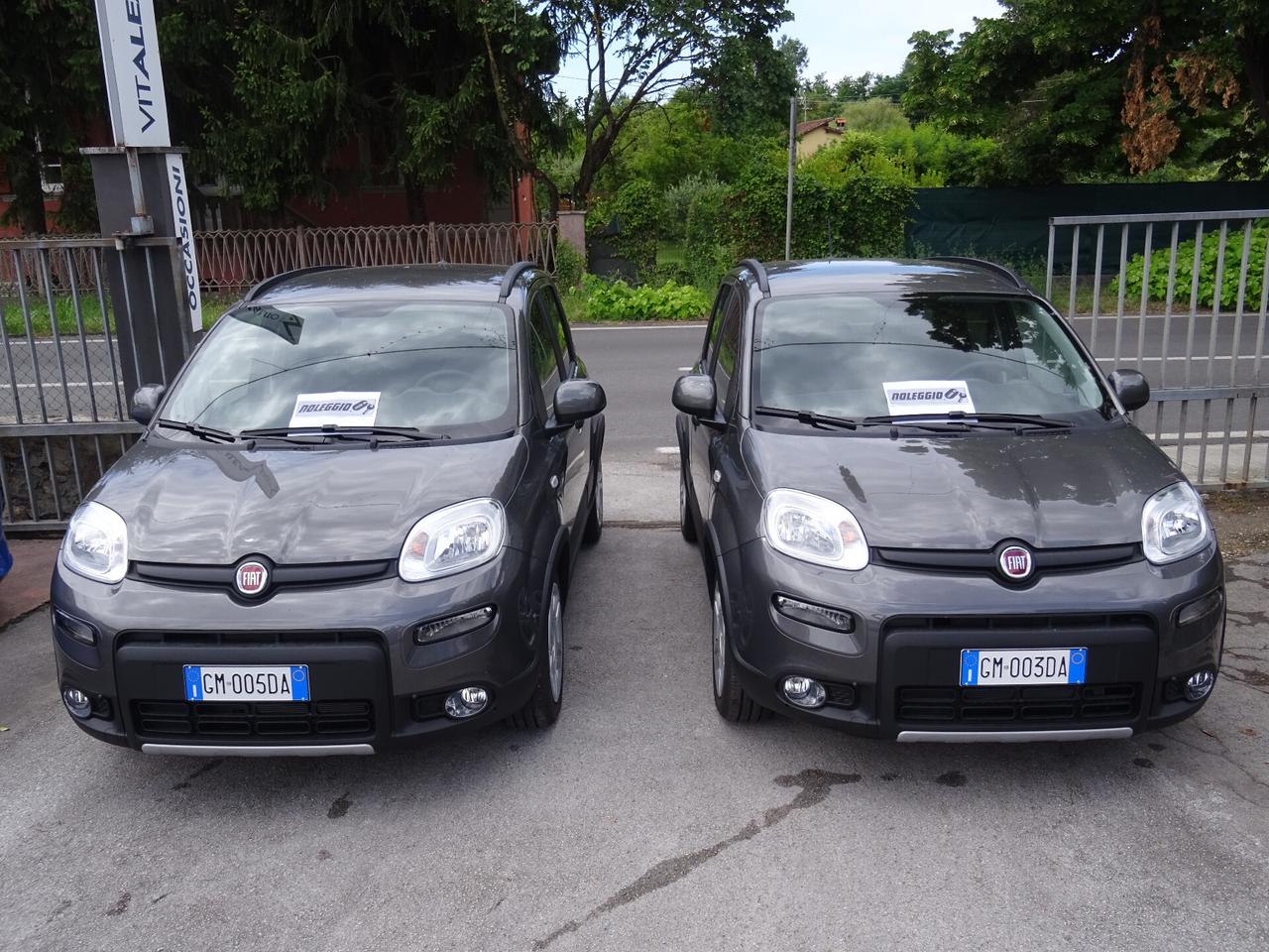 Fiat Panda 1.0 FireFly S&S Hybrid NOLEGGIAMI
