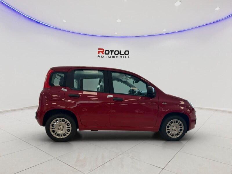 FIAT Pandina Pandina 1.0 FireFly 65 CV Hybrid Icon