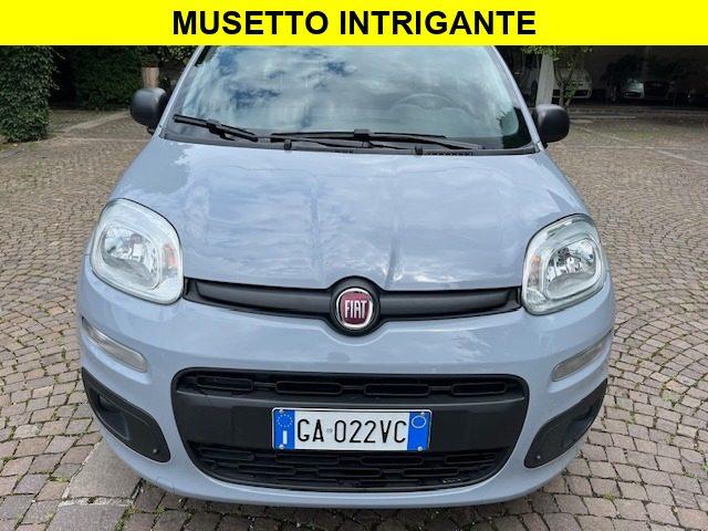 FIAT Panda 1.2 Benzina euro6 Neopatentati