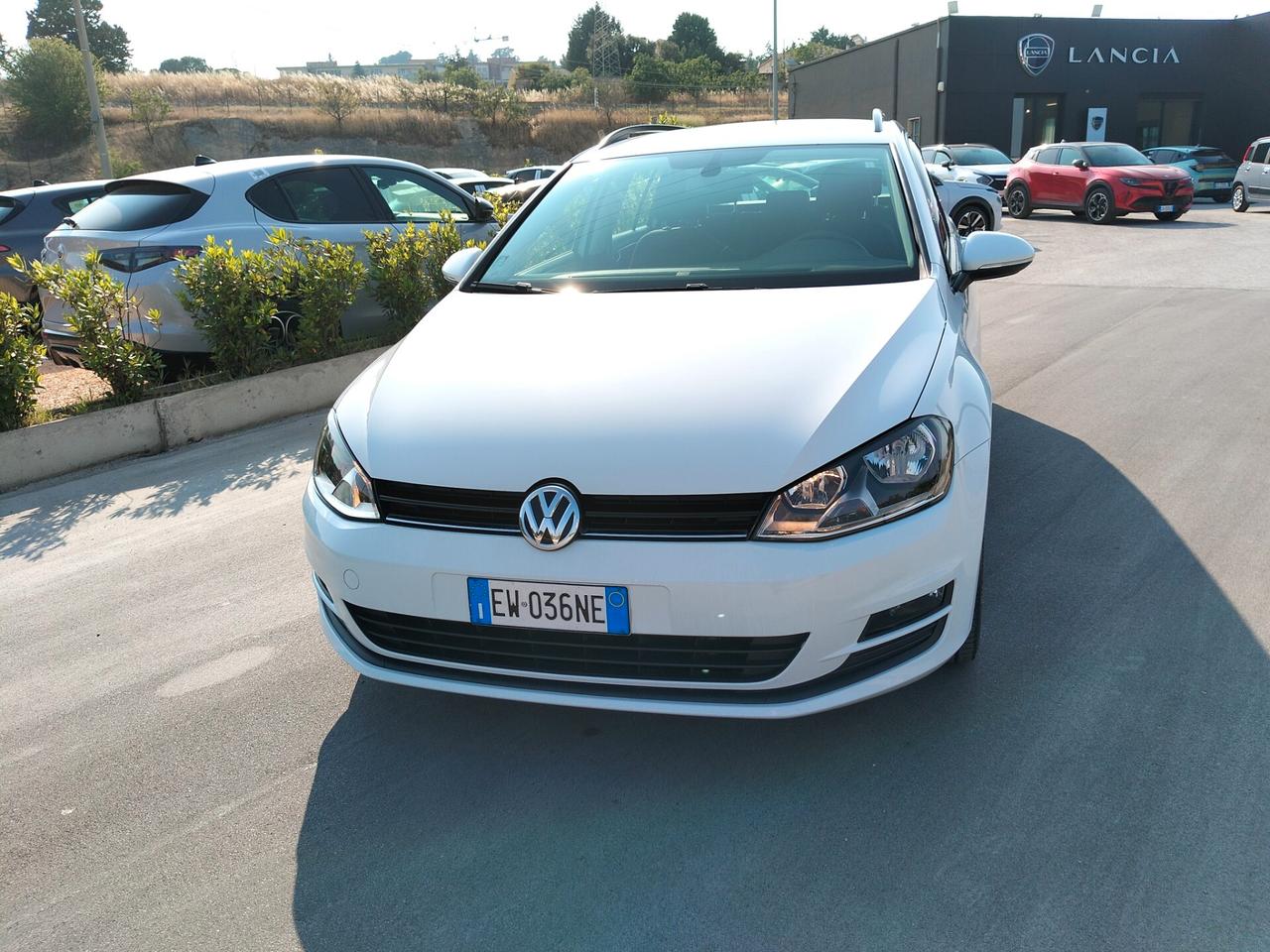 Volkswagen Golf Variant Golf Variant Business 1.6 TDI 105 CV Comfortline BMT