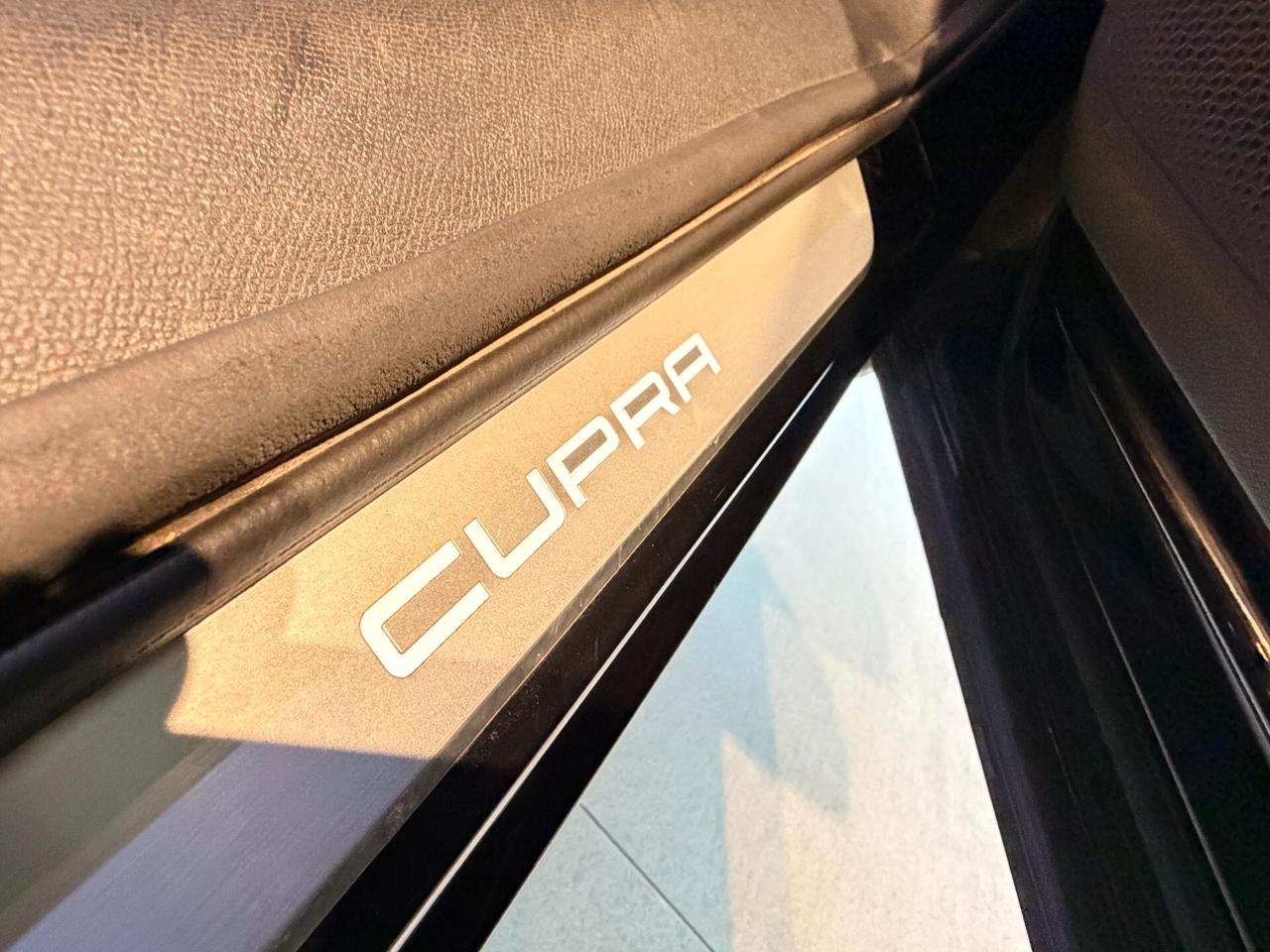 Cupra Formentor 2.0 TDI 4Drive DSG