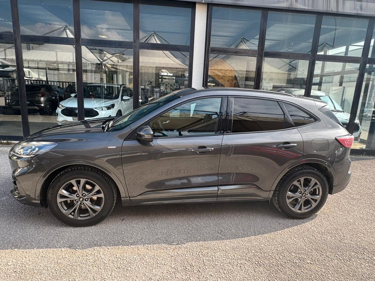 Ford Kuga 2.0 EcoBlue Hybrid 150 CV 2WD ST-Line