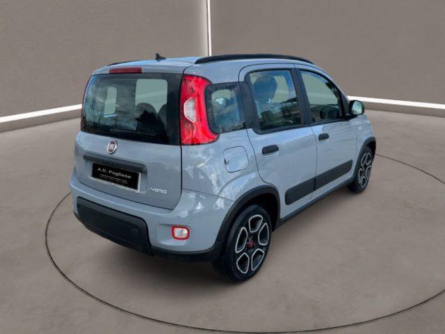 FIAT Panda 3ª serie - 1.0 FireFly S&S Hybrid City Life