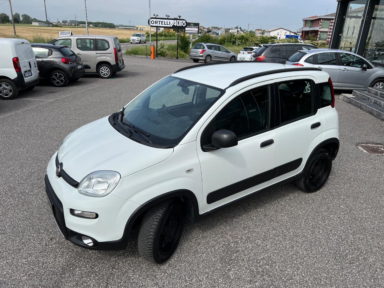 FIAT Panda 1.3 MJT 95 CV S&S 4x4 IVA DEDUCIBILE