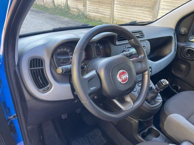 FIAT Panda 1.2 Pandazzurri NEOPATENTATI