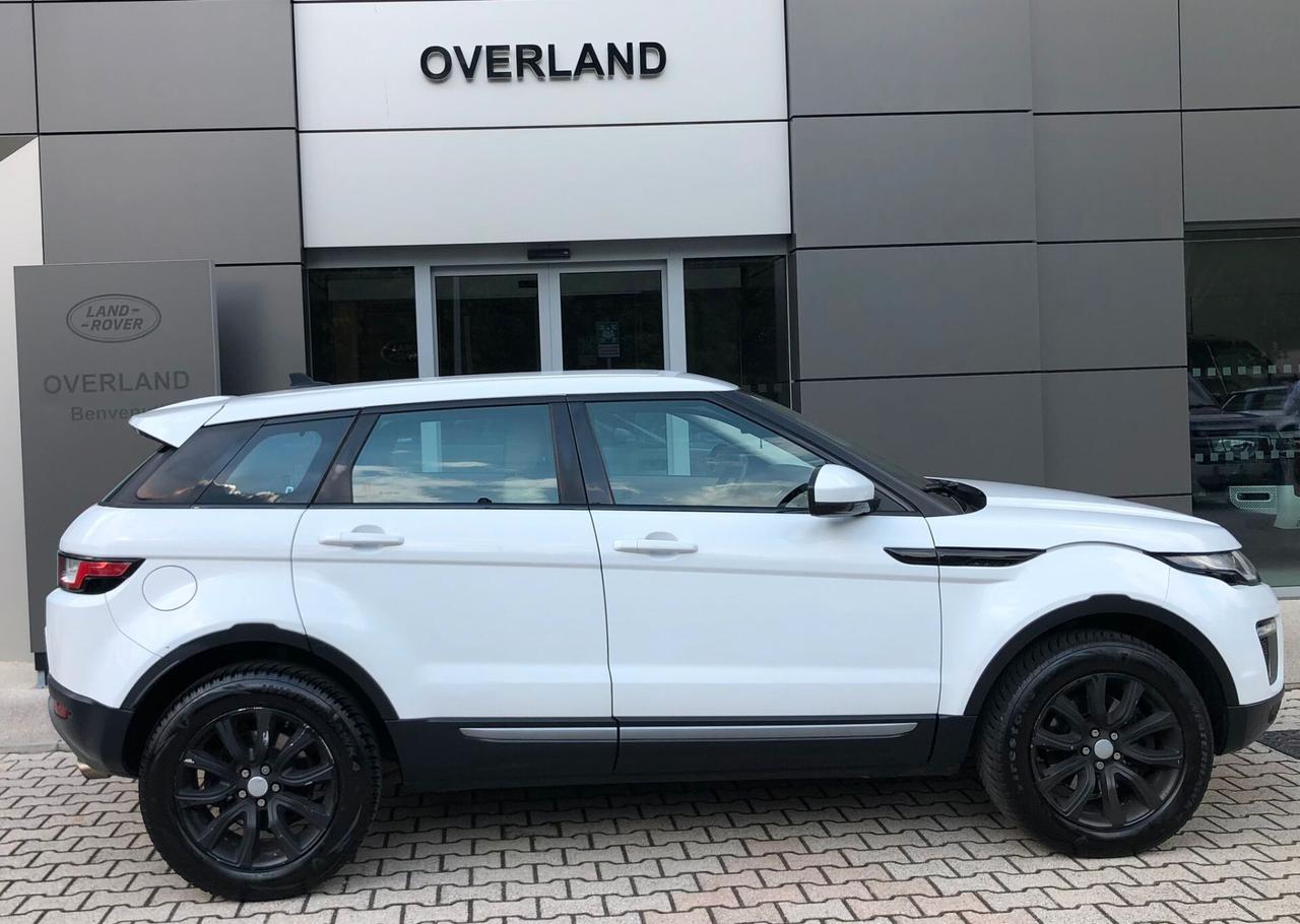 Land Rover Range Rover Evoque Range Rover Evoque 2.0 TD4 150 CV 5p. SE