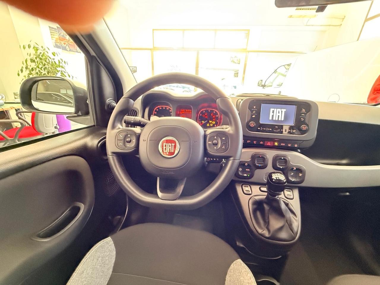 FIAT PANDA 1.0 FireFly 70cv S&S Hybrid City Life