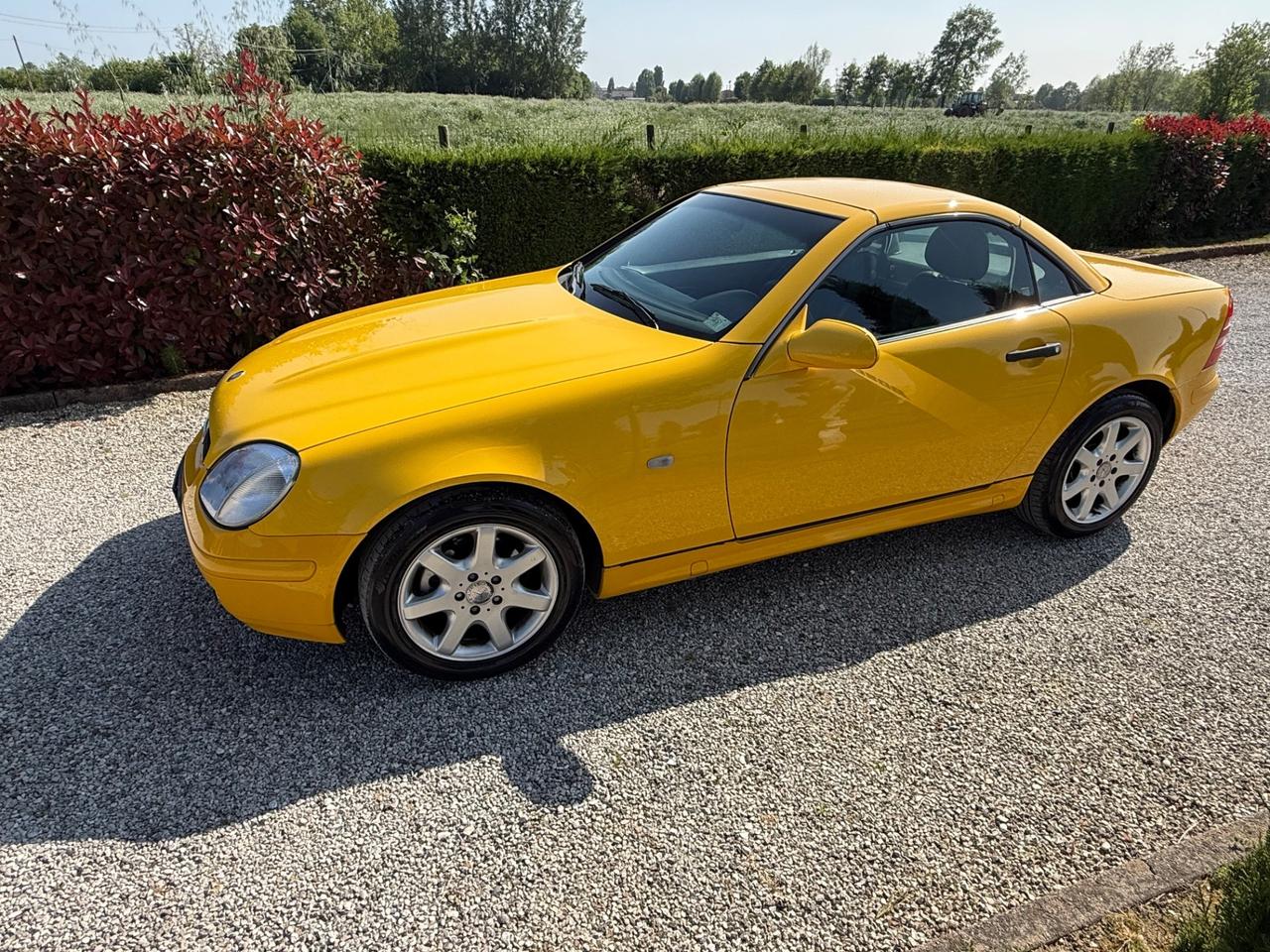 Mercedes-benz SLK 200 cat