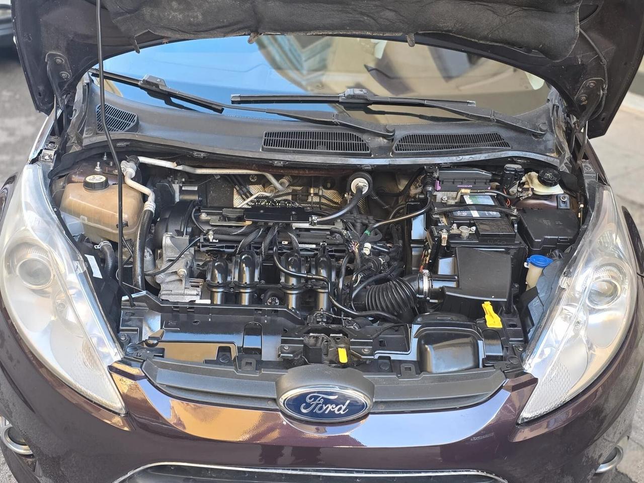 Ford Fiesta Fiesta+ 1.4 5 porte Bz.- GPL