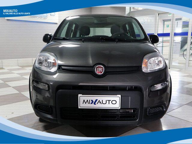 FIAT Panda Hybrid 1.0 FireFly 70cv Easy EU6