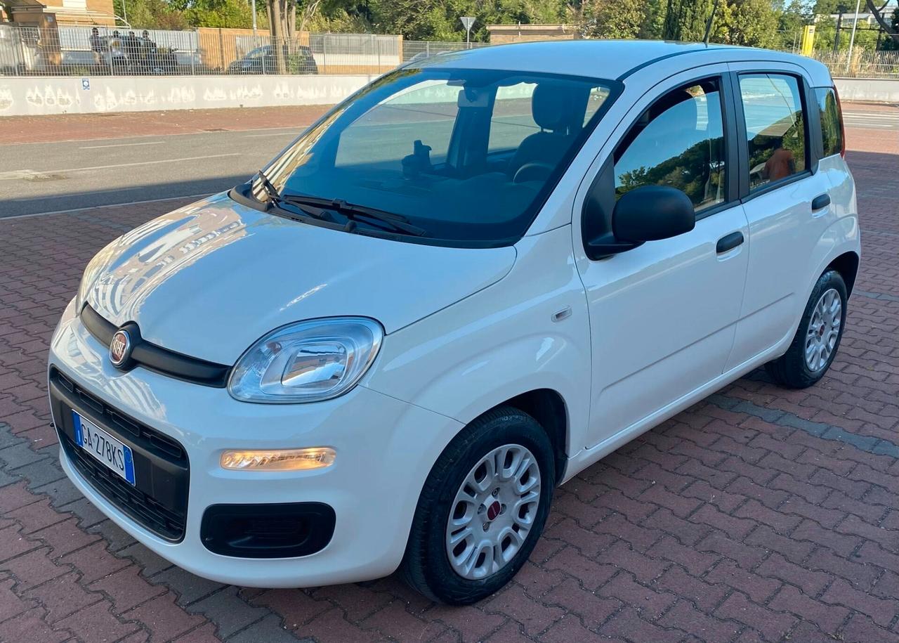 FIAT PANDA EASY 1.2cc OK NEO PATENTATI