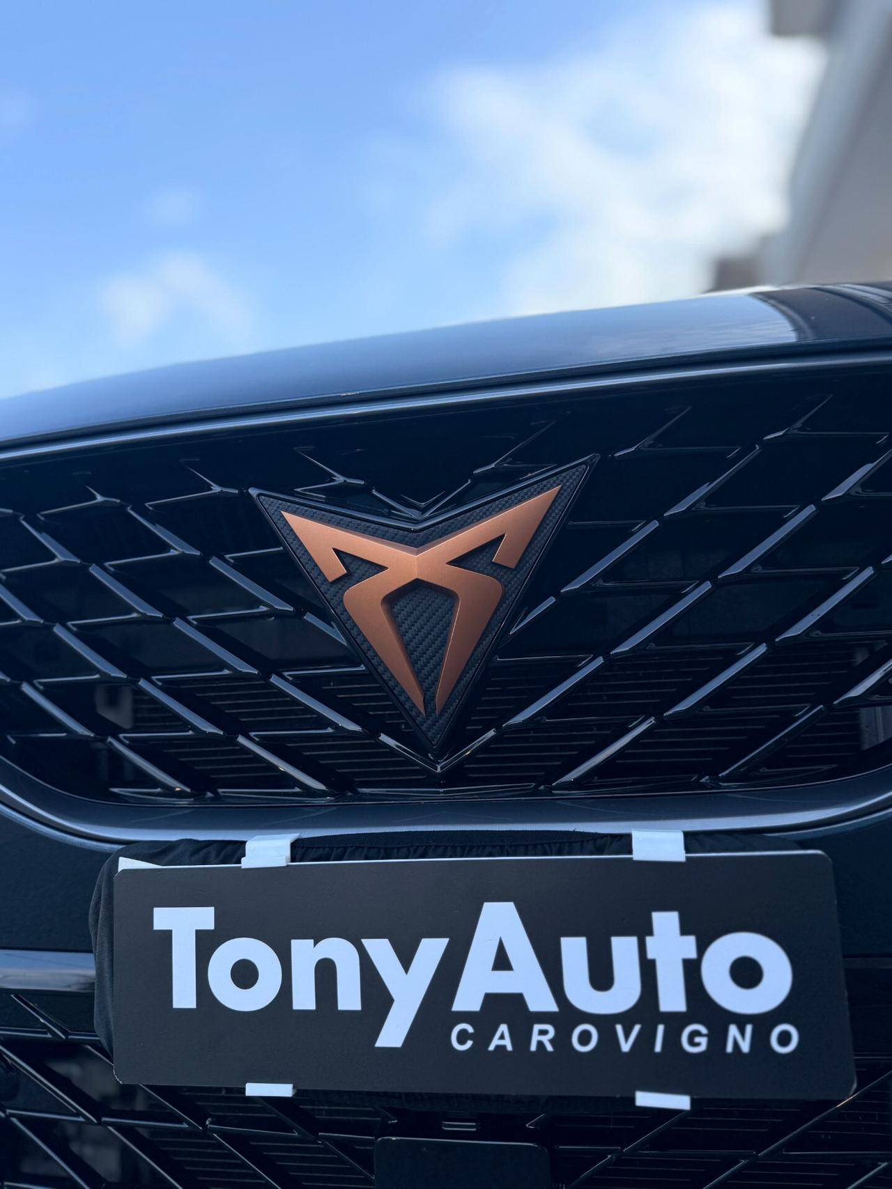 Cupra Formentor tdi 4drive dsg TETTO APRIBILE,APPLE CARPLAY,PELLE,VIRTUAL COCKPIT,PACCHETTO LUCI SOFFUSE,KM CERTIFIC