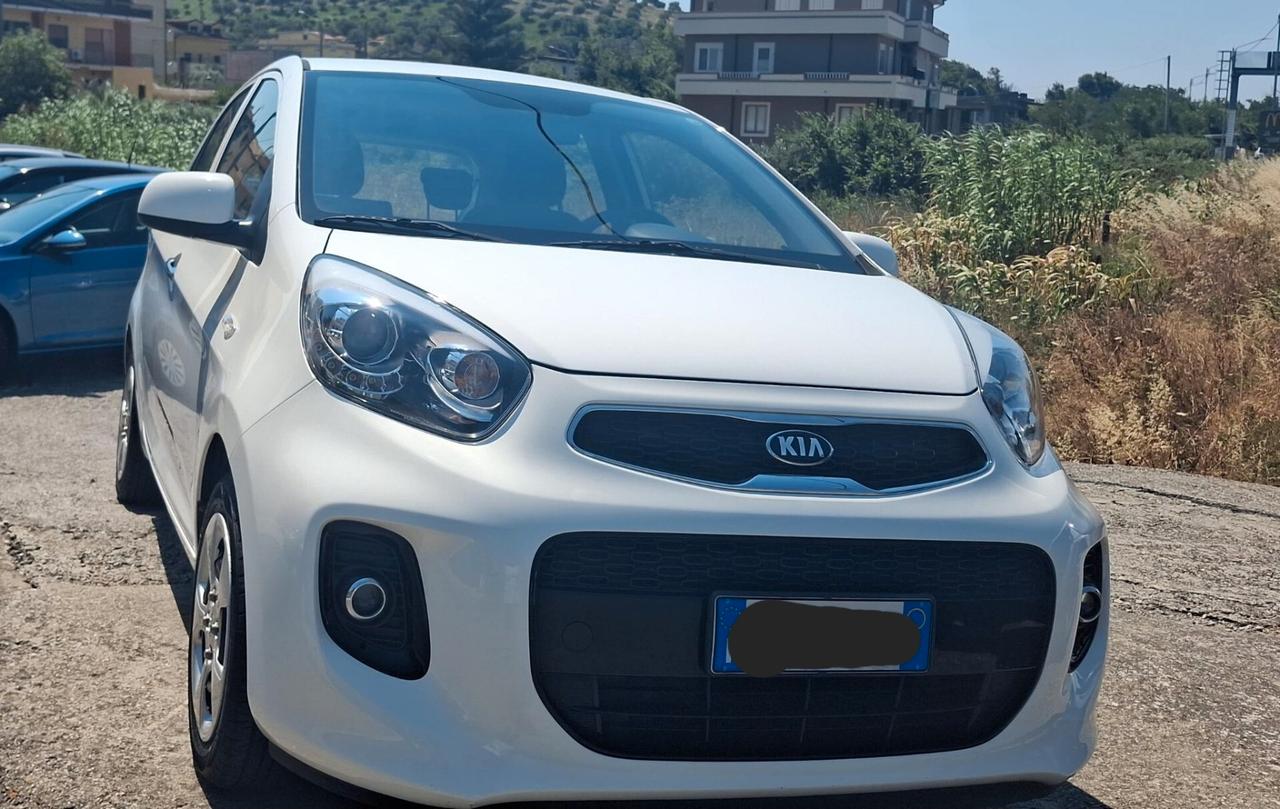 Kia Picanto 1.0 12V EcoGPL 5 porte Glam