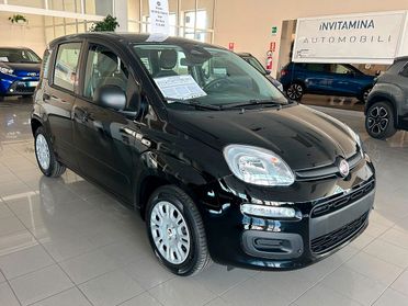 Fiat Panda 1.0 FireFly 70cv S&S Hybrid Icon
