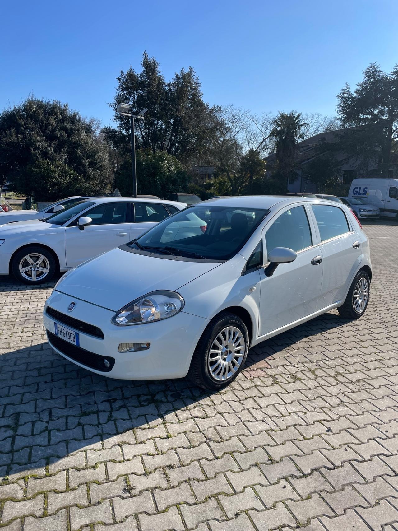 Fiat Punto 1.3 MJT 95CV S&S 5 porte Van Easy 4 posti