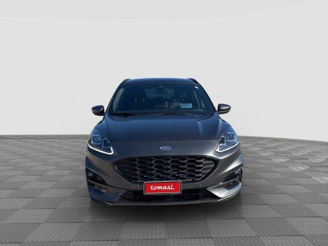 FORD Kuga Kuga 1.5 EcoBlue 120 CV aut. 2WD ST-Line