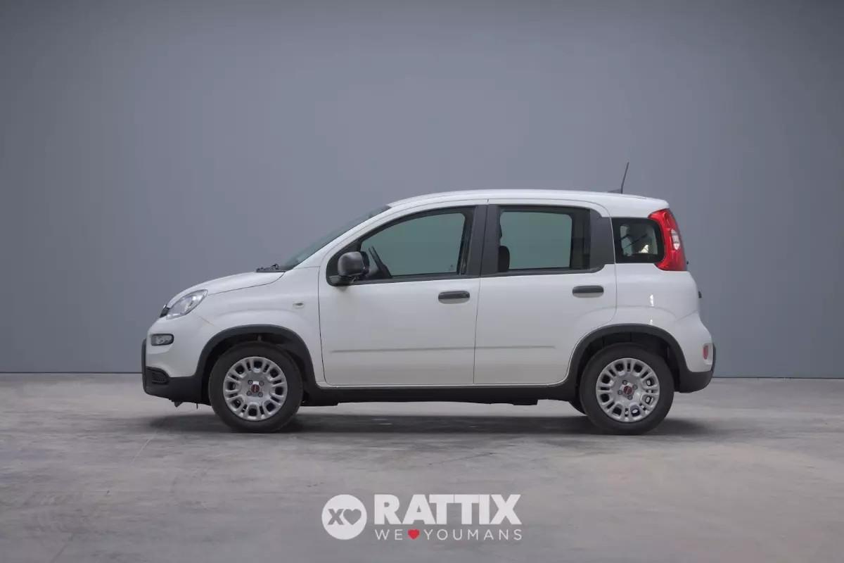 Fiat Panda 1.0 firefly hybrid 70CV 5p.ti