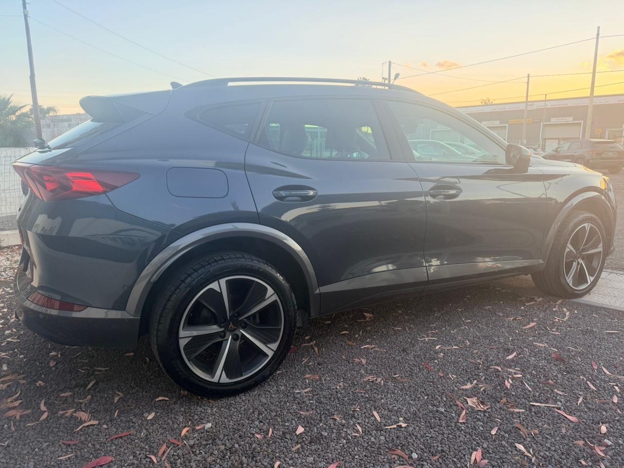 Cupra Formentor 2.0 TDI 4Drive DSG