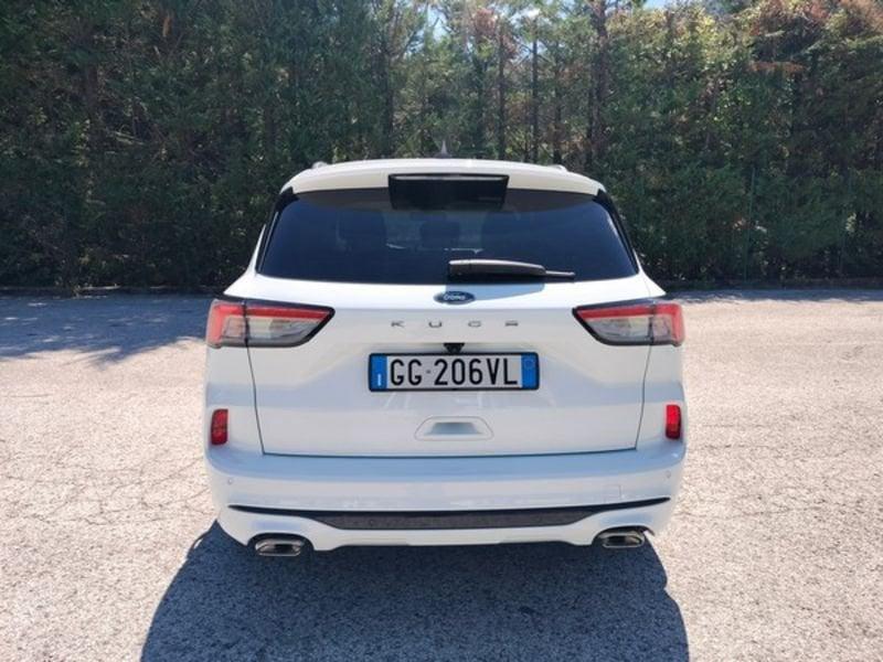 Ford Kuga Kuga 1.5 EcoBlue 120 CV 2WD ST-Line