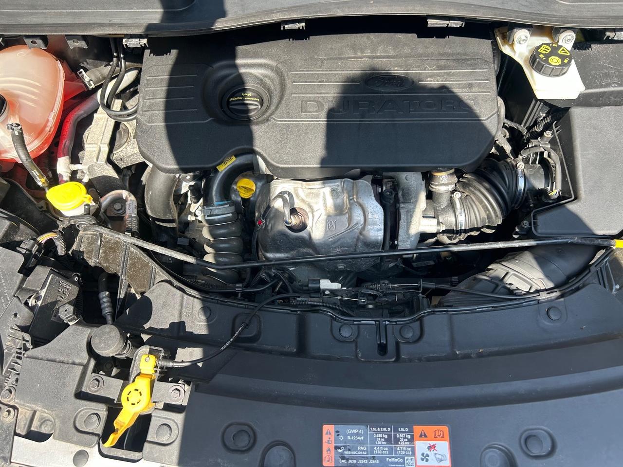 Ford Kuga 1.5 TDCI 120 CV S&S 2WD Plus