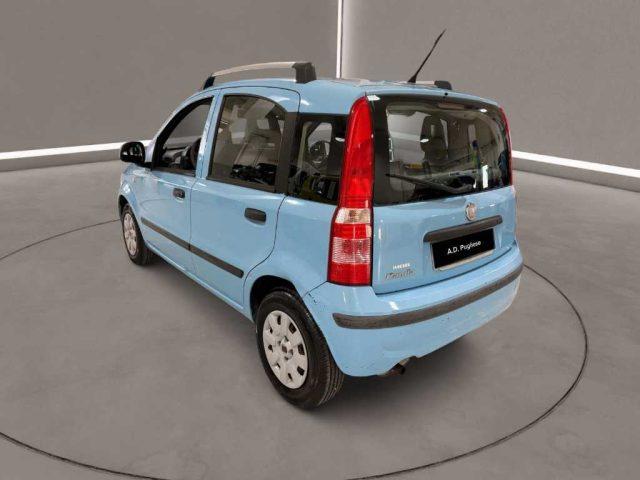 FIAT Panda 2ª serie - 1.2 Dynamic