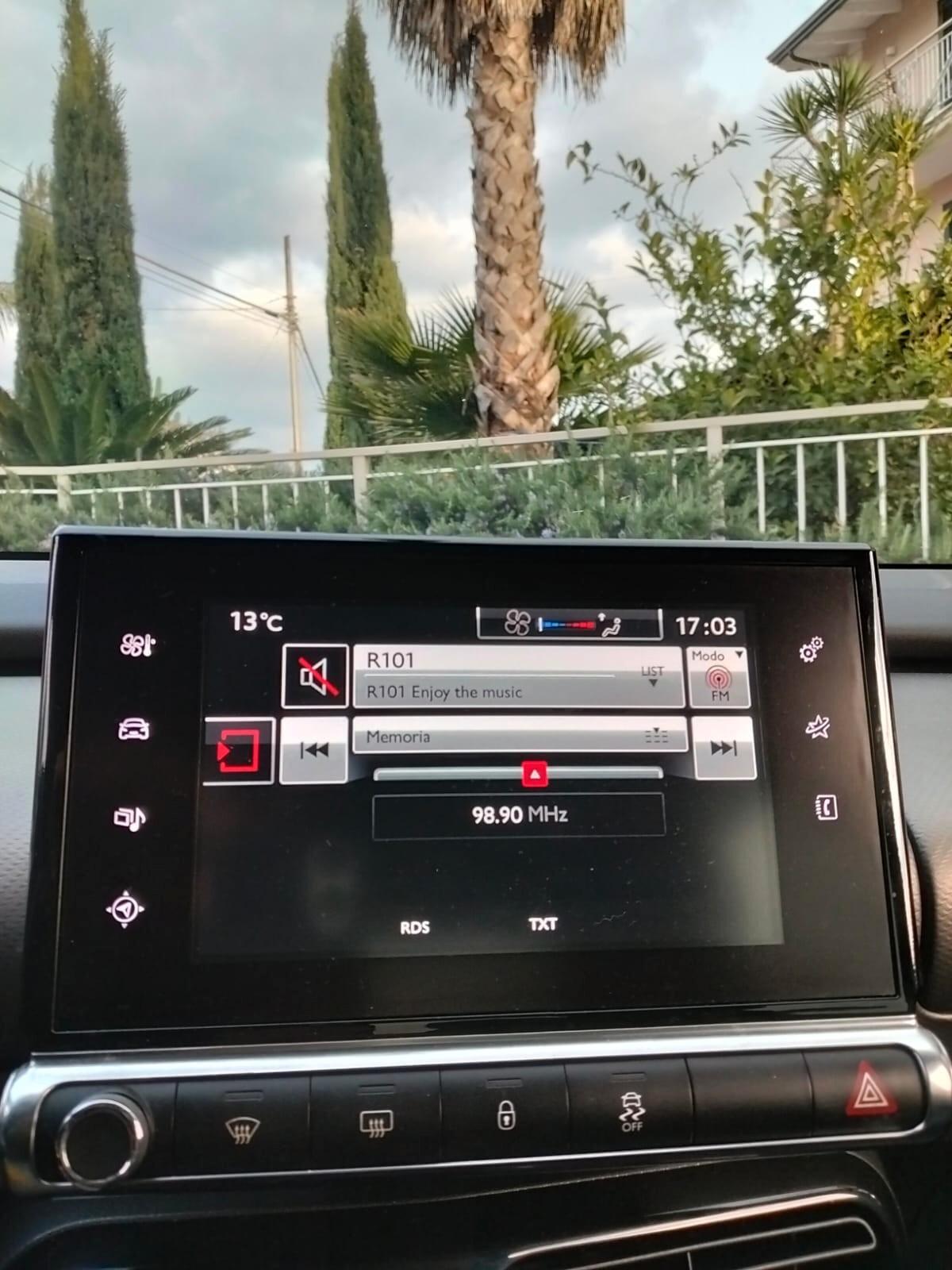 Citroen C4 Cactus 1.6 e-HDi 115 CV Stop&Start SW Allure