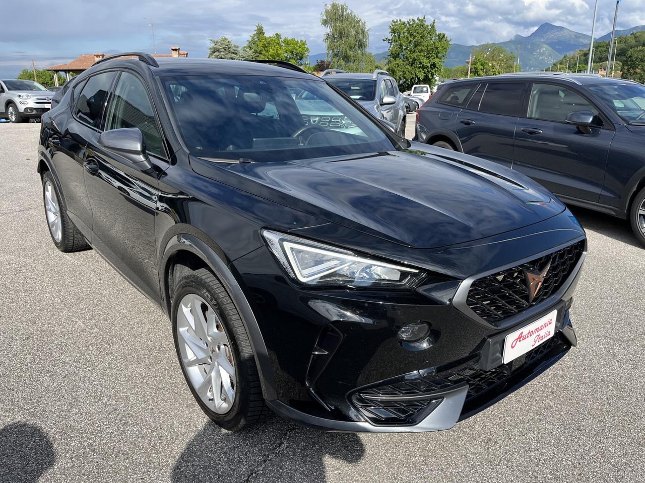 CUPRA FORMENTOR 2000 TDI 150 CV DSG 4X4