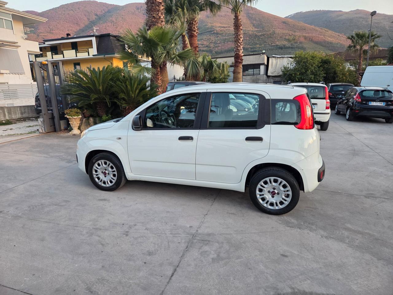 Fiat Panda 1.2 Easy N1 Van 4 posti - 2020