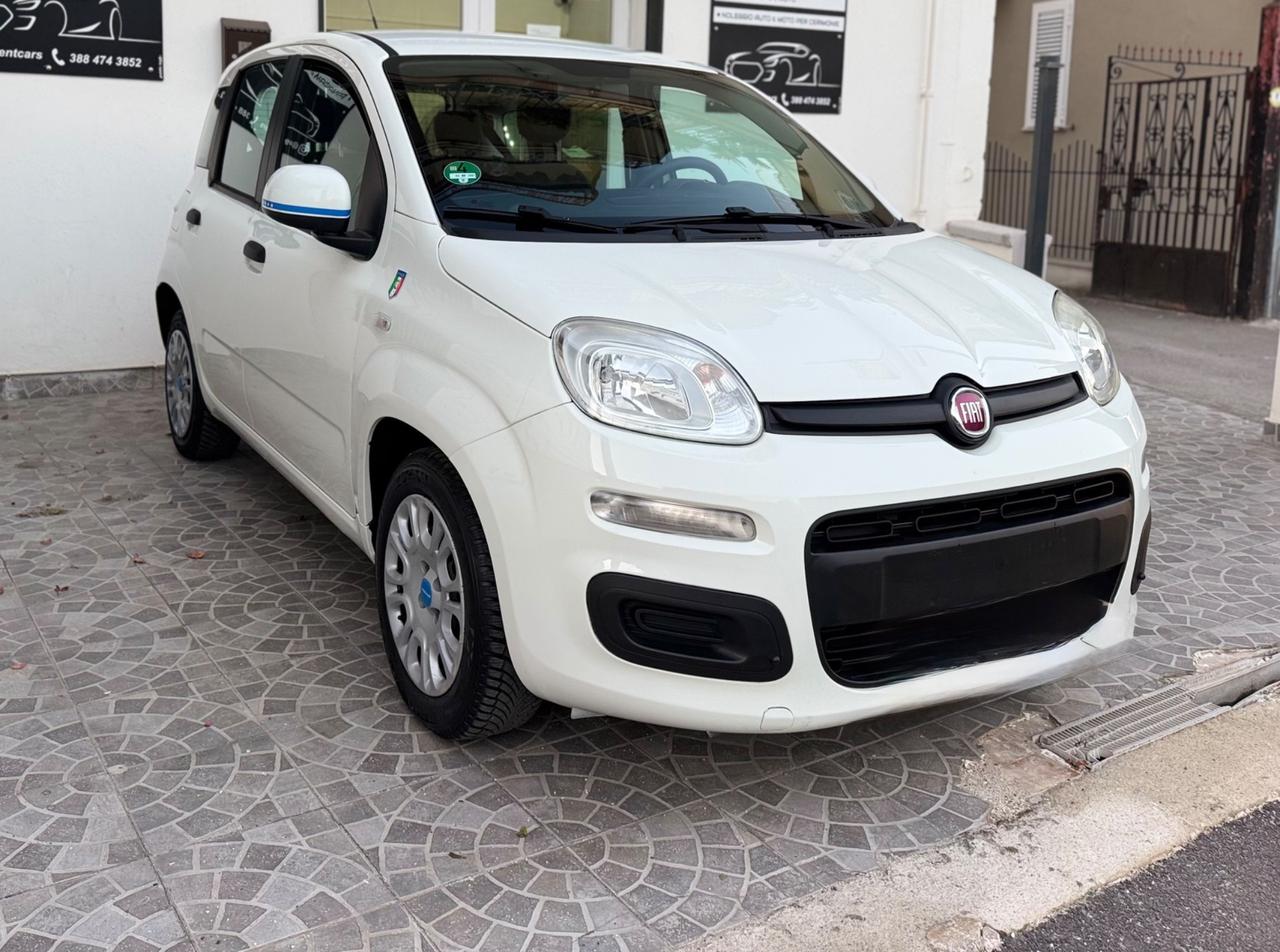 Fiat Panda 1.2 EasyPower Pandazzurri