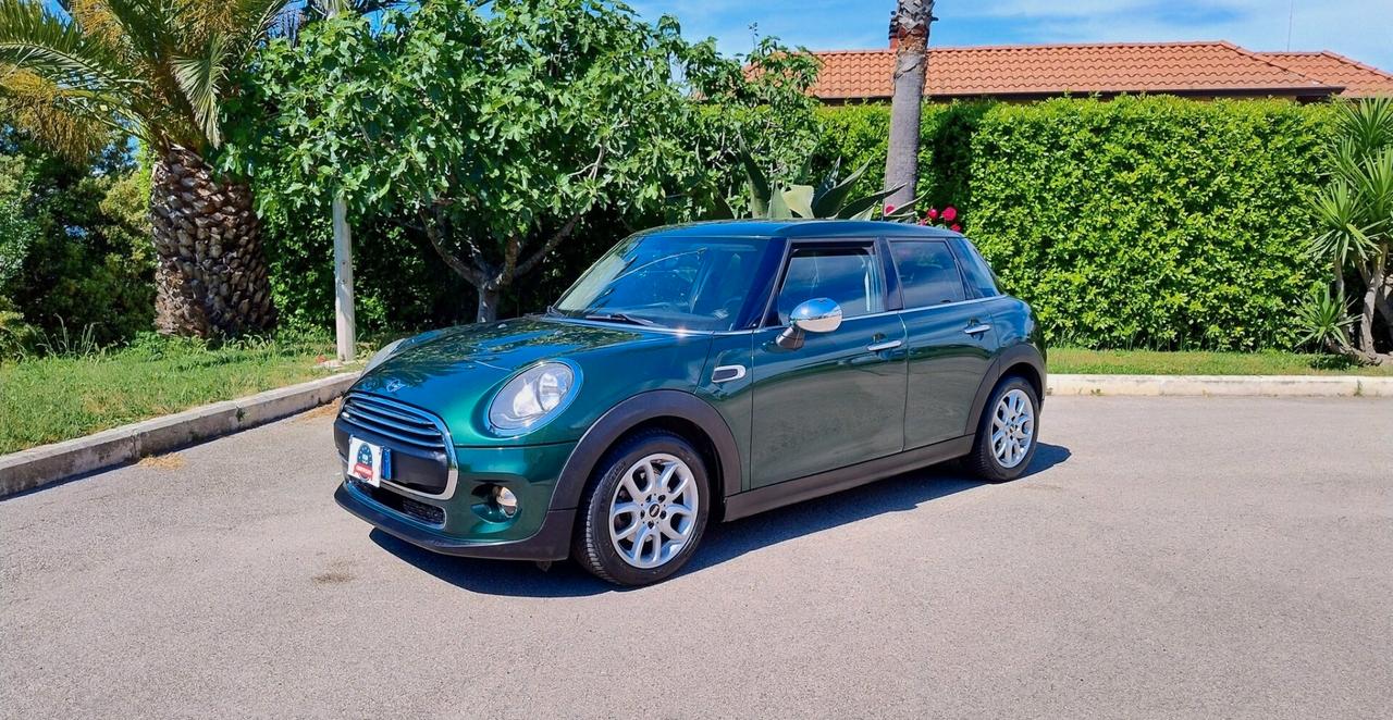 Mini Mini 1.5 One D