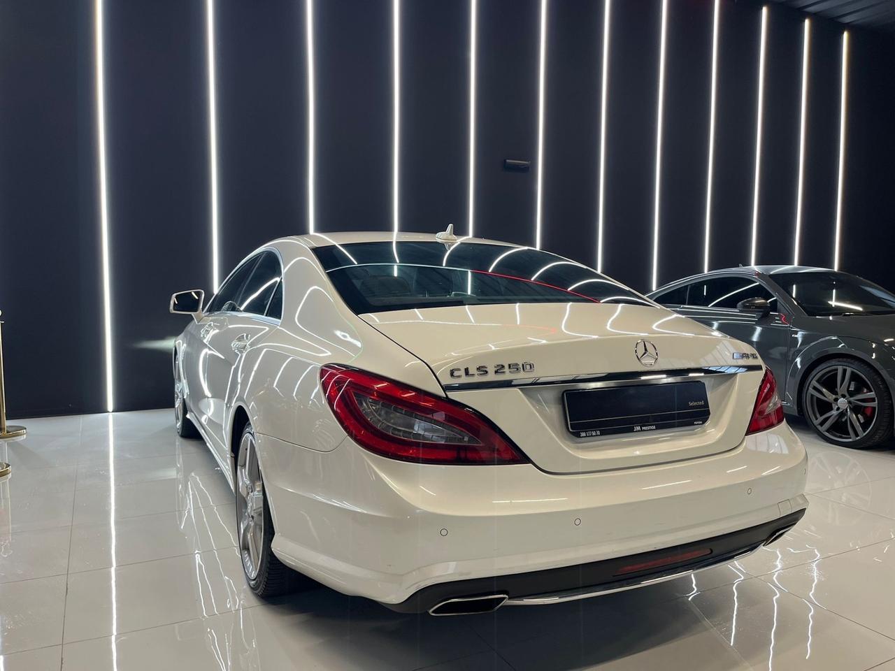 Mercedes-benz CLS 250 CDI BlueEFFICIENCY