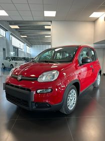 FIAT PANDA 1.0 Hybrid KM 0 2024 Nuova PANDINA