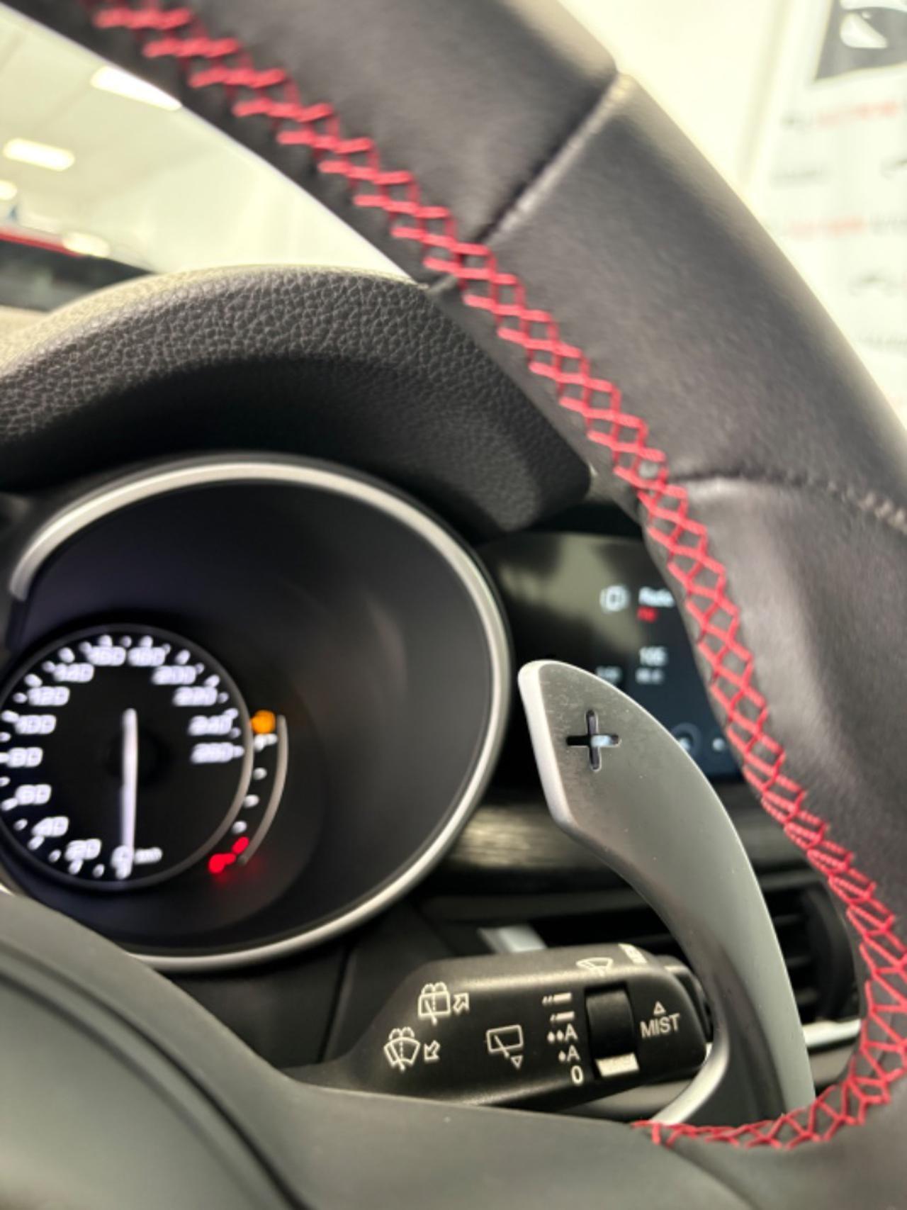 Alfa Romeo Stelvio 2.2 Turbodiesel 190 CV AT8 Q4 ,Solo 17000 KM !