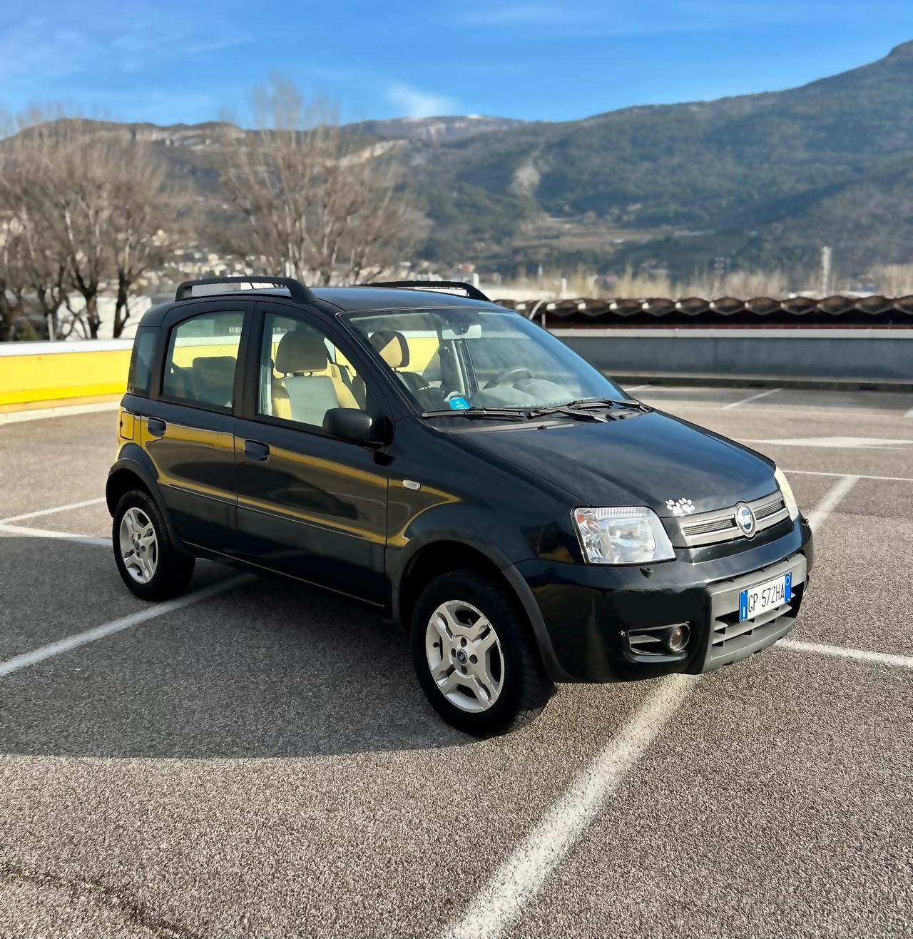 Fiat Panda 4x4 1.2 Benzina Climbing Neopatentati