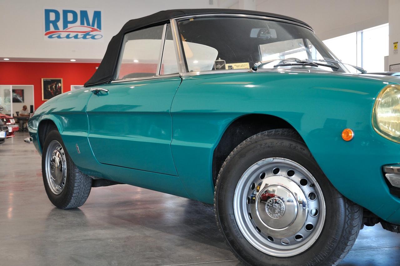Alfa Romeo Spider 1300 Junior Duetto osso di seppia RIAR conservata
