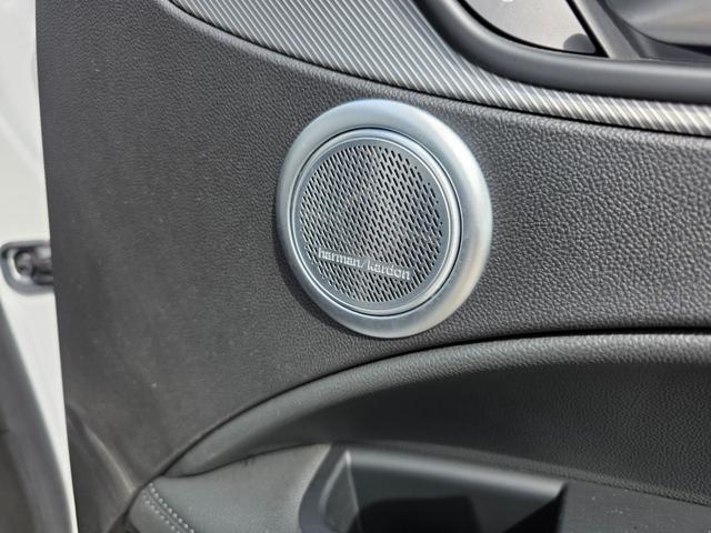 ALFA ROMEO Stelvio 2.2 Turbodiesel 210 CV AT8 Q4 Sprint