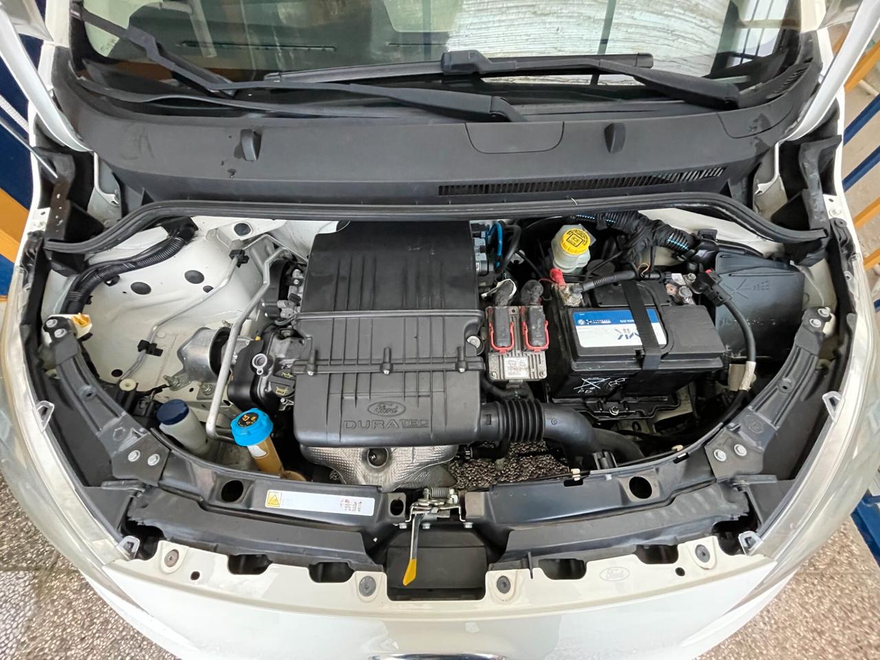 Ford Ka Ka+ 1.2 8V 69CV Titanium Business