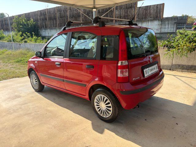 FIAT Panda 1.2 Dynamic OK NEOPATENTATI CON SERVOSTERZO