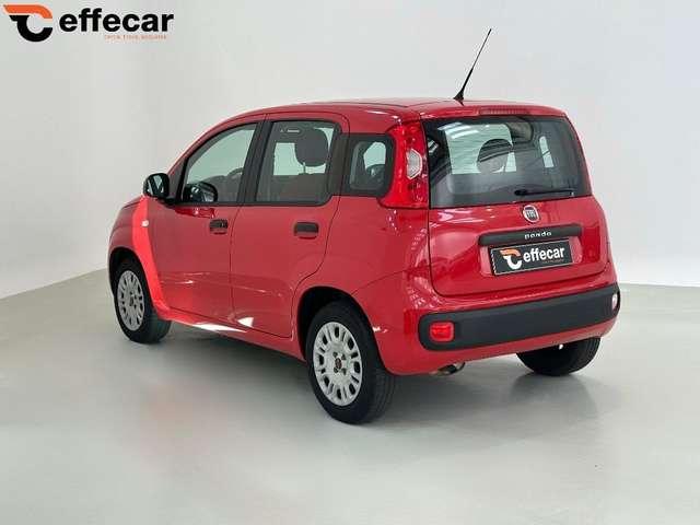 Fiat Panda 1.2 Easy Neopatentati