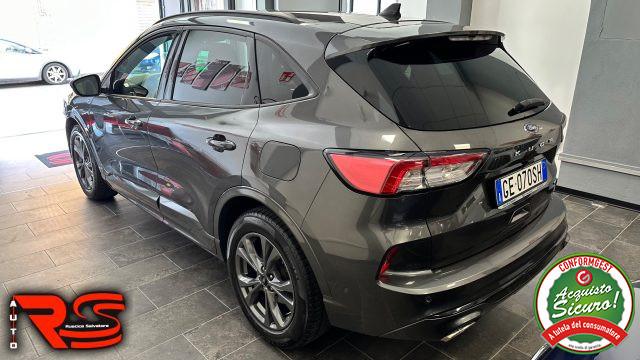 FORD Kuga 2.0 EcoBlue Hybrid 150 CV 2WD ST-Line