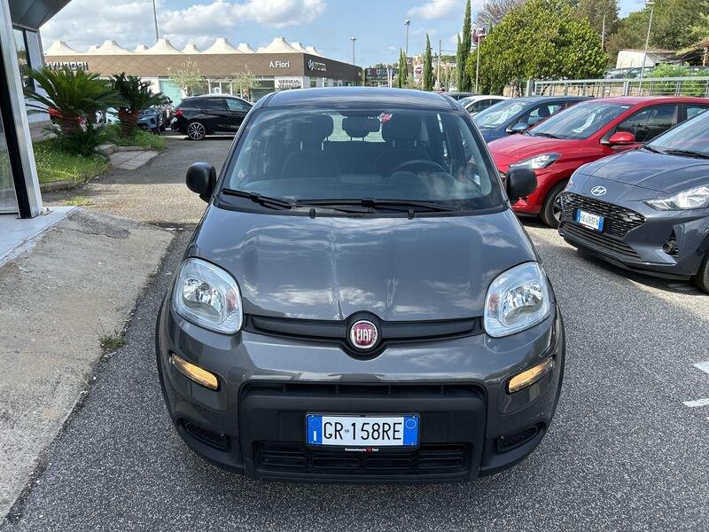 FIAT Panda New My23 1.0 70cv Hybrid Panda