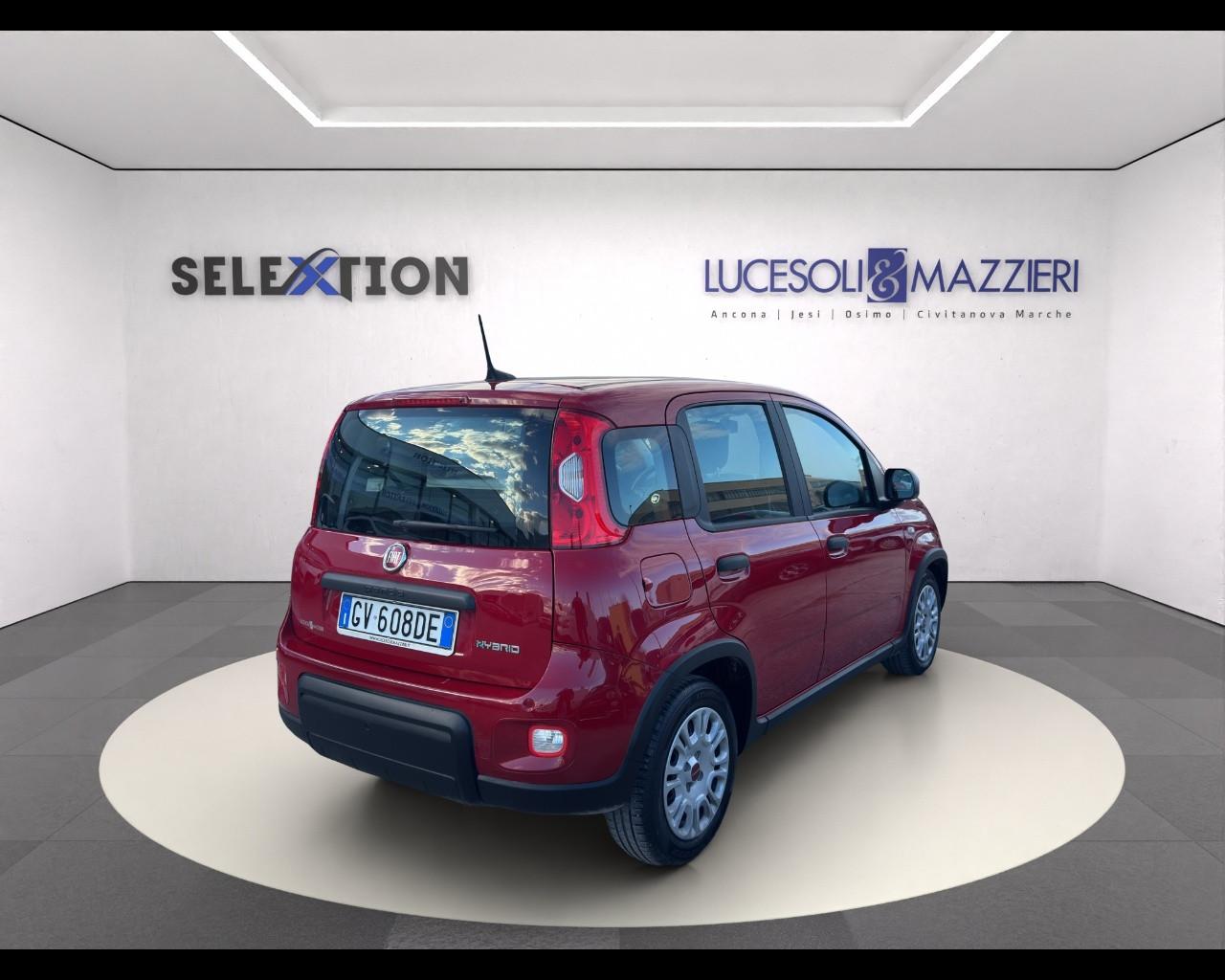 FIAT Panda My24 1.0 70cv Hybrid Panda