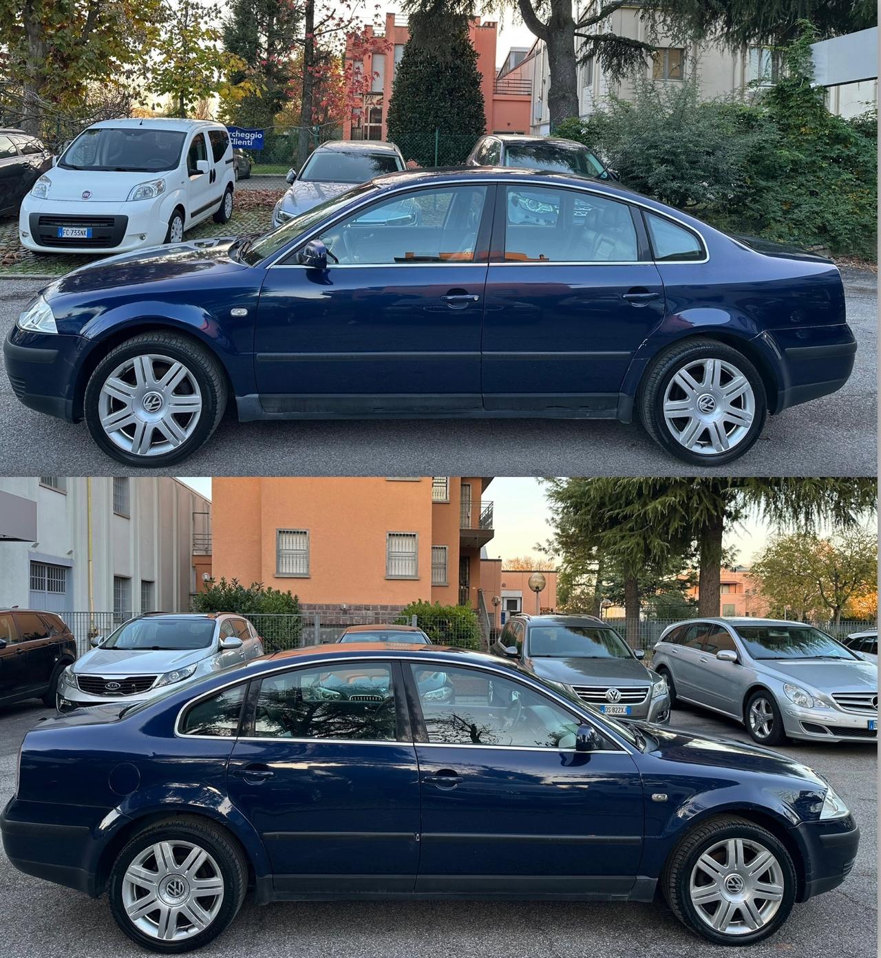 Volkswagen Passat 1.9 TDI/130 CV cat Business