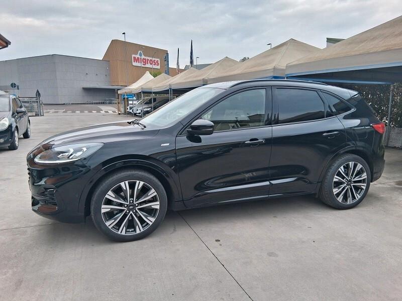 Ford Kuga 1.5 EcoBlue 120 CV 2WD ST-Line X (688)