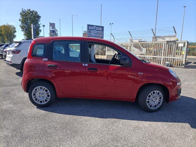 FIAT Panda 1.0 FireFly S&S Hybrid PREZZO REALE